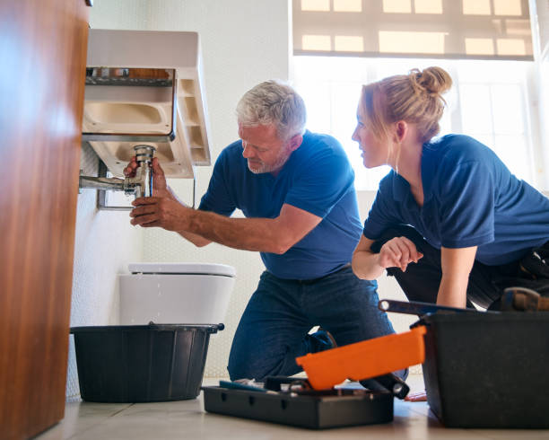 Best Local Plumber Services  in Rolla, MO
